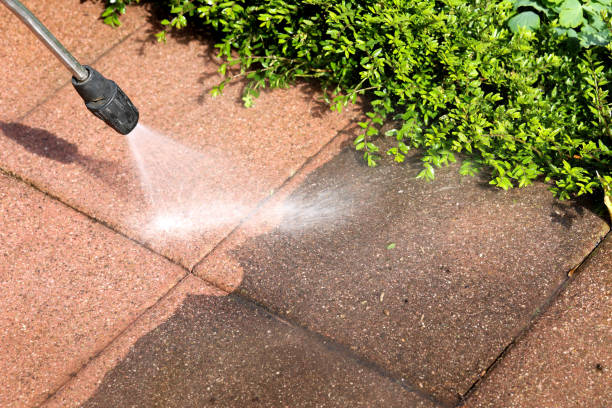 Best Pressure Washing Company Near Me  in Danville, AR